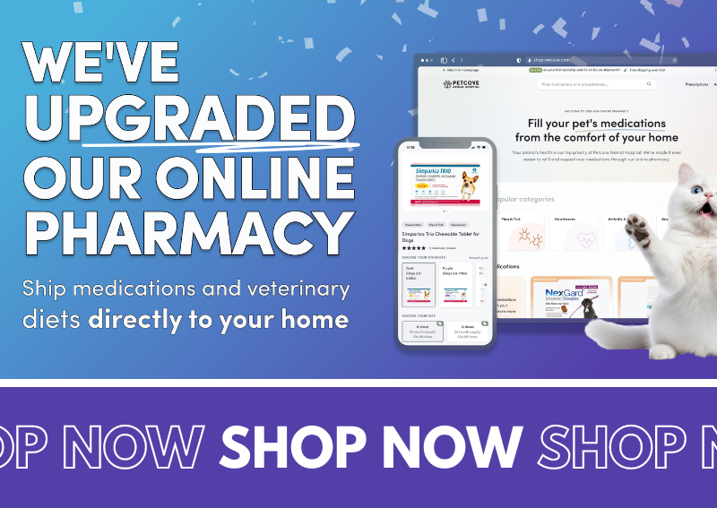 Carousel Slide 4: Shop Our Online Pharmacy!