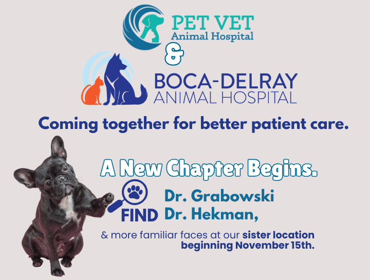 An Important Update from Pet Vet Animal Hospital
